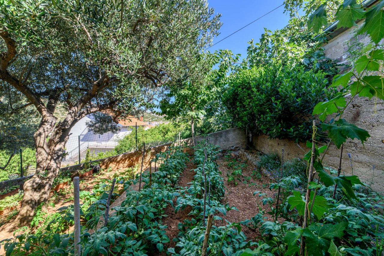 Apartments Kardum Sibenik Bagian luar foto